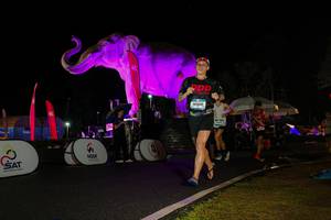 BIB: 
                            <button type="button" onclick="openModal(26544213)" class="btn btn-primary btn-sm float-right btn-popup" data-toggle="modal" data-target=".modal-high-quality">
                        <i class="fas fa-shopping-cart"></i> Add to Cart
                    </button>
                                            <button type="button" onclick="isThisMe(26544213, true)" class="btn btn-success btn-sm float-right btn-popup btn-isme hidden" data-toggle="tooltip" data-placement="bottom" title="นี่คือรูปของคุณใช่ไหม คลิกที่นี่เพื่อเอาเข้าอัลบั้ม">
                        <i class="fas fa-plus"></i> Add to album
                    </button>
                    <button type="button" onclick="isThisMe(26544213, false)" class="btn btn-warning btn-sm float-right btn-popup btn-isnotme hidden">
                        <i class="fas fa-ban"></i> Remove from album
                    </button>